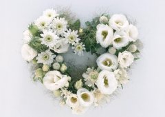 5.12 | 國際護(hù)士節(jié)，預(yù)祝5.14 | 母親節(jié)快樂！