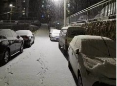 青島！大雪！大愛！