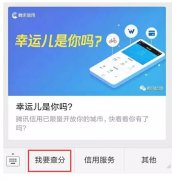 騰訊信用分全國(guó)公測(cè)，查了一下之后懵逼了。。