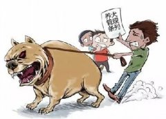 青島10月份一大波勁爆消息，你知道嗎？